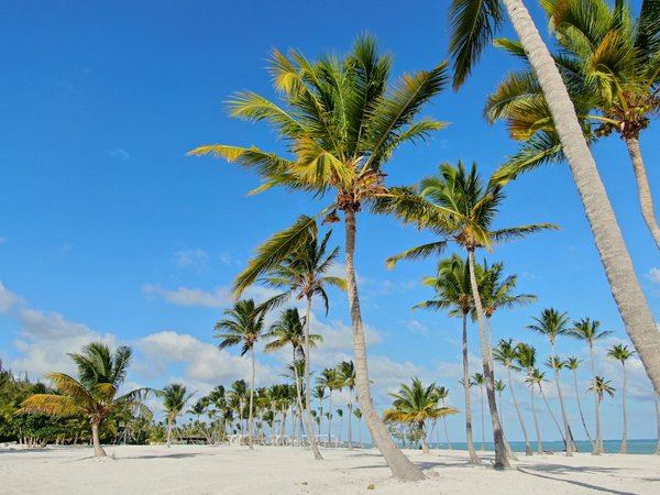 Découvrez les meilleures résidences avec piscine dans les pyrénées !
